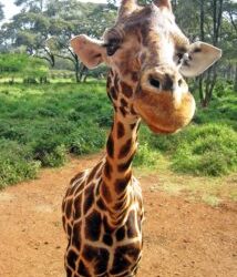 The Upper Juniors want to persuade you with their writing