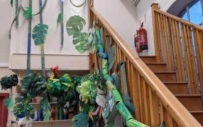 Learning about rainforests