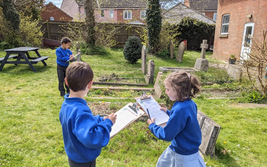 Lower Junior Local History Research