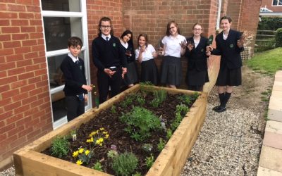 Planting for the future.