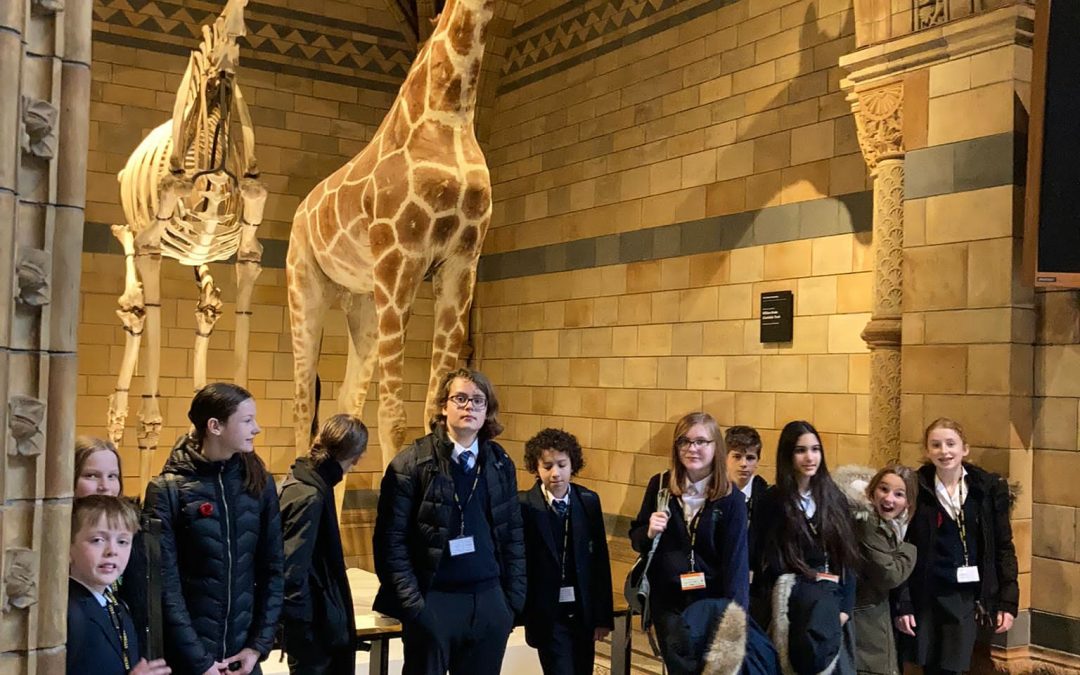 Lower Senior trip to the Science Museum and Dickens Museum