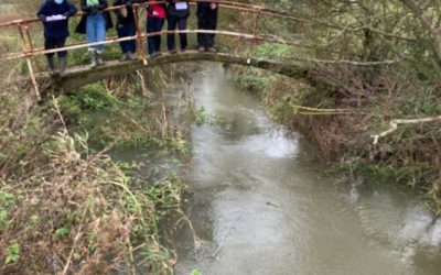 GCSE River Chelmer