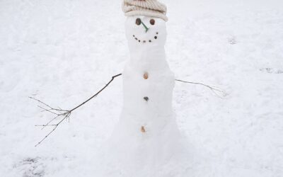 Newsletter – 16th December 2022