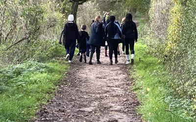 Newsletter – 2nd December 2022