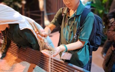 Newsletter – 20th January 2023