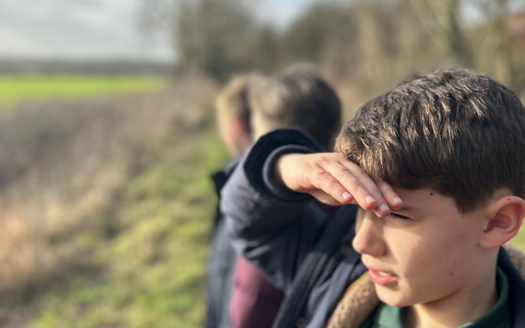 Newsletter 26th January 2024